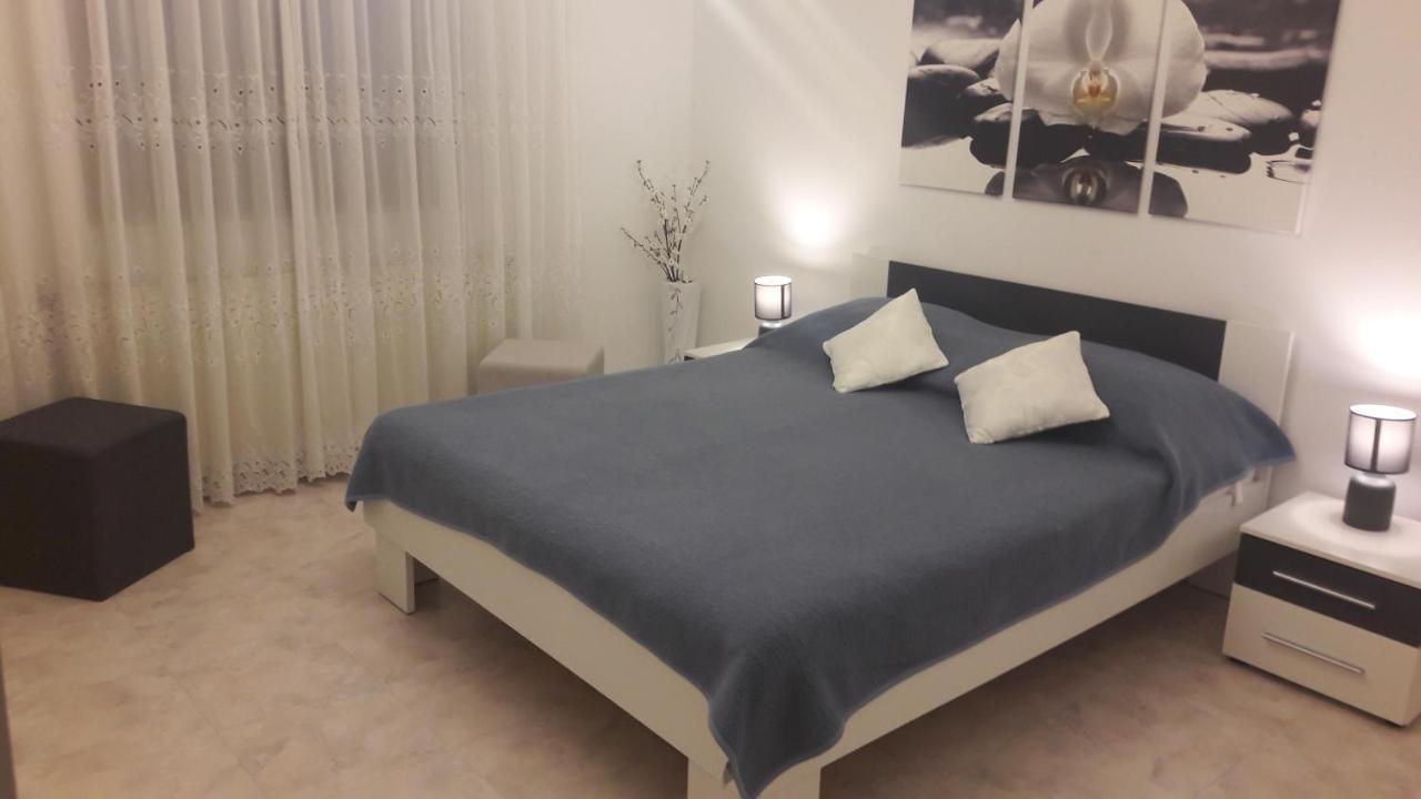 Lili Apartment Novigrad  ภายนอก รูปภาพ