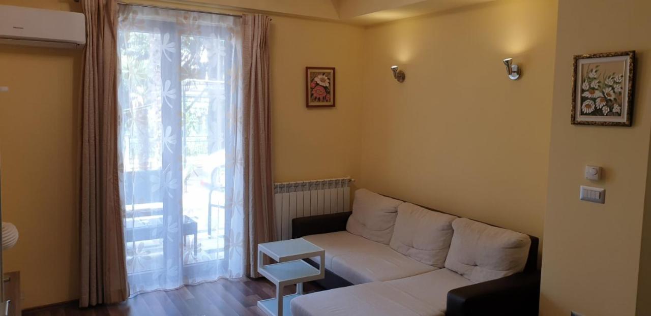Lili Apartment Novigrad  ภายนอก รูปภาพ