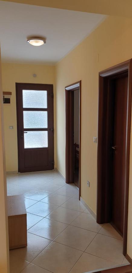 Lili Apartment Novigrad  ภายนอก รูปภาพ