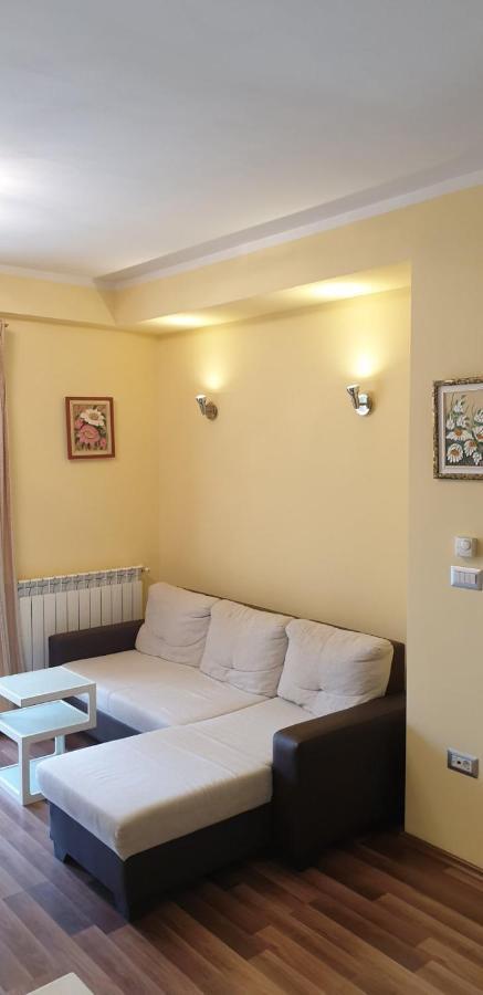 Lili Apartment Novigrad  ภายนอก รูปภาพ