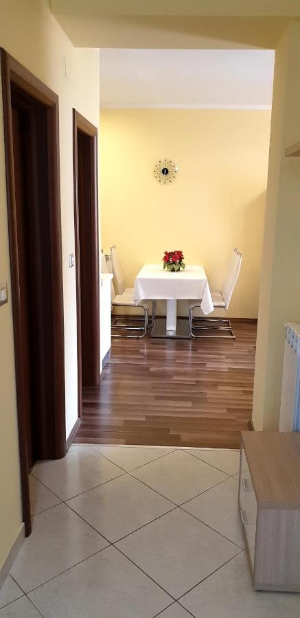 Lili Apartment Novigrad  ภายนอก รูปภาพ