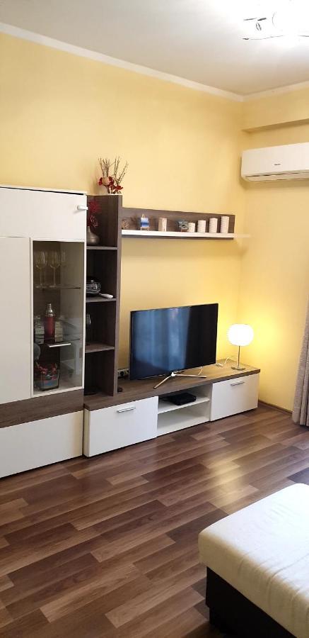 Lili Apartment Novigrad  ภายนอก รูปภาพ